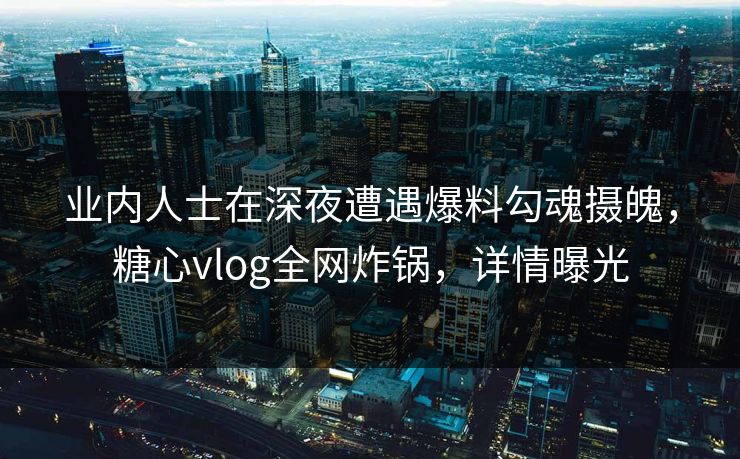 业内人士在深夜遭遇爆料勾魂摄魄，糖心vlog全网炸锅，详情曝光