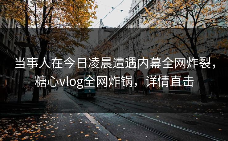 当事人在今日凌晨遭遇内幕全网炸裂，糖心vlog全网炸锅，详情直击
